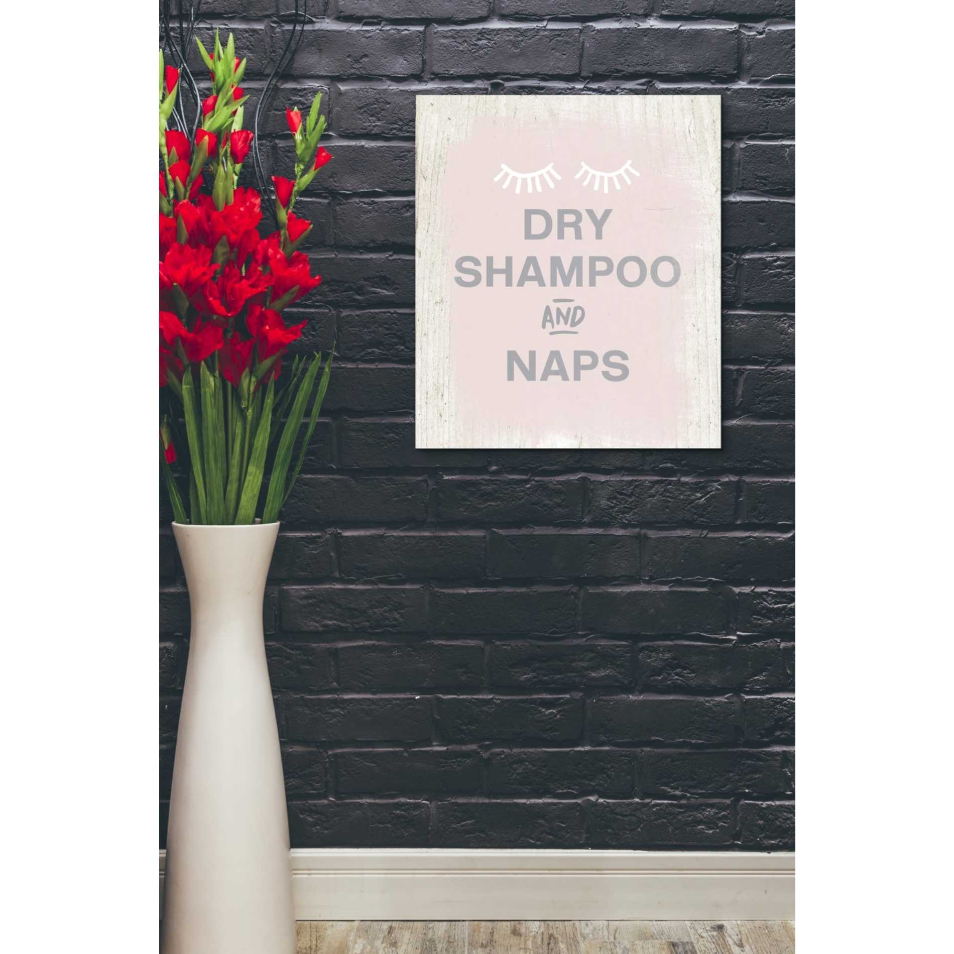 'Dry Shampoo And Naps' by Linda Woods, Canvas Wall Art,20 x 24