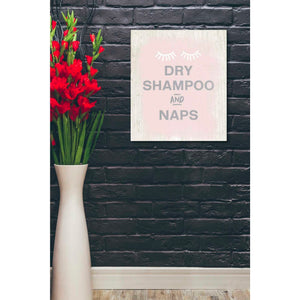 'Dry Shampoo And Naps' by Linda Woods, Canvas Wall Art,20 x 24