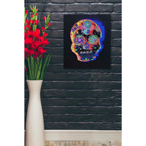'Colorful Skull' by Irena Orlov, Canvas Wall Art,20 x 24