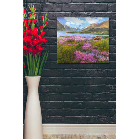 Image of 'Heather Scotland' by Chris Vest, Giclee Canvas Wall Art