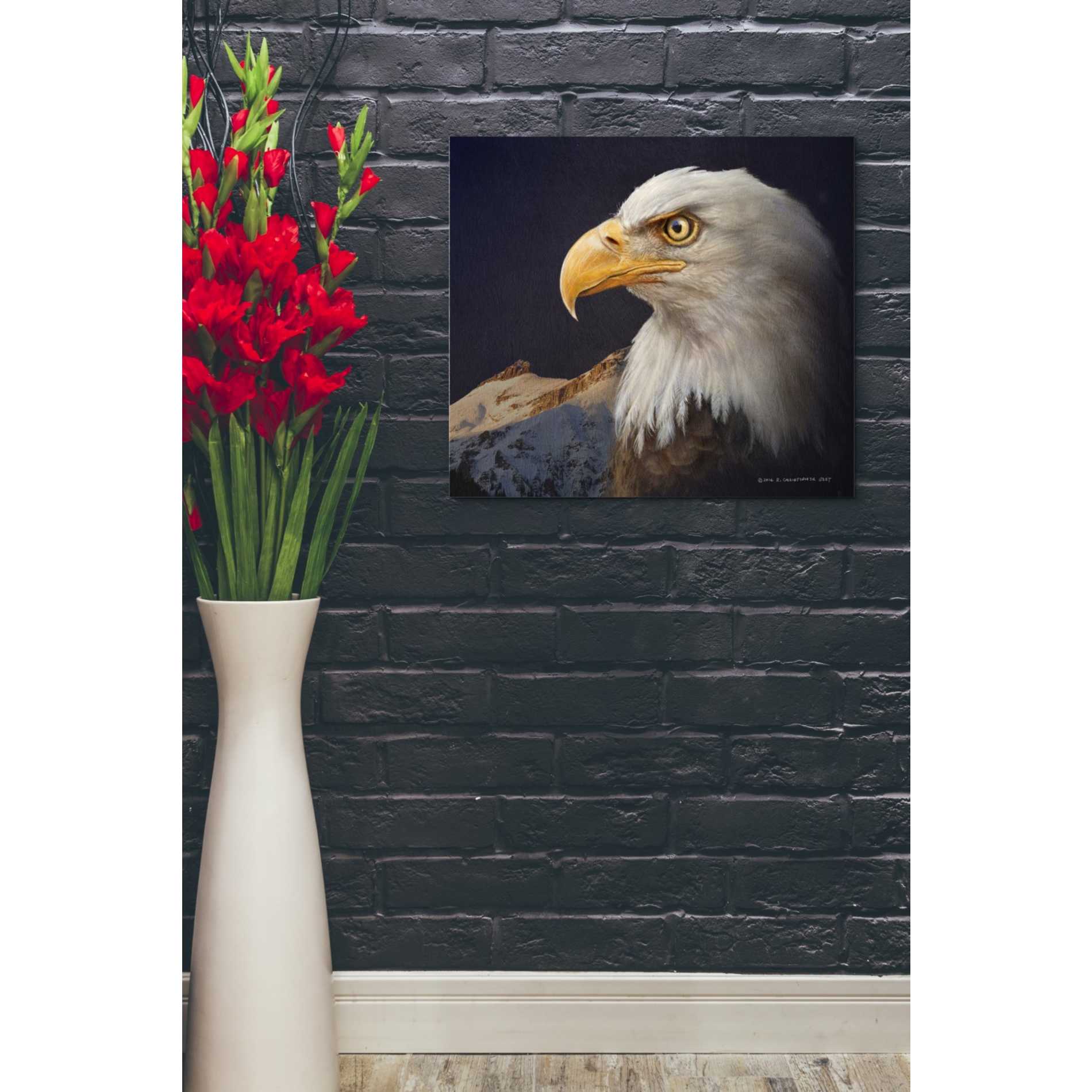 'Bald Eagle Study' by Chris Vest, Giclee Canvas Wall Art