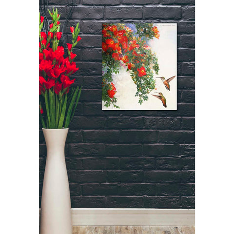 Image of 'Hanging Red Roses and Hummers' by Chris Vest, Giclee Canvas Wall Art