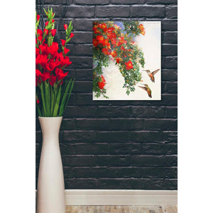 'Hanging Red Roses and Hummers' by Chris Vest, Giclee Canvas Wall Art