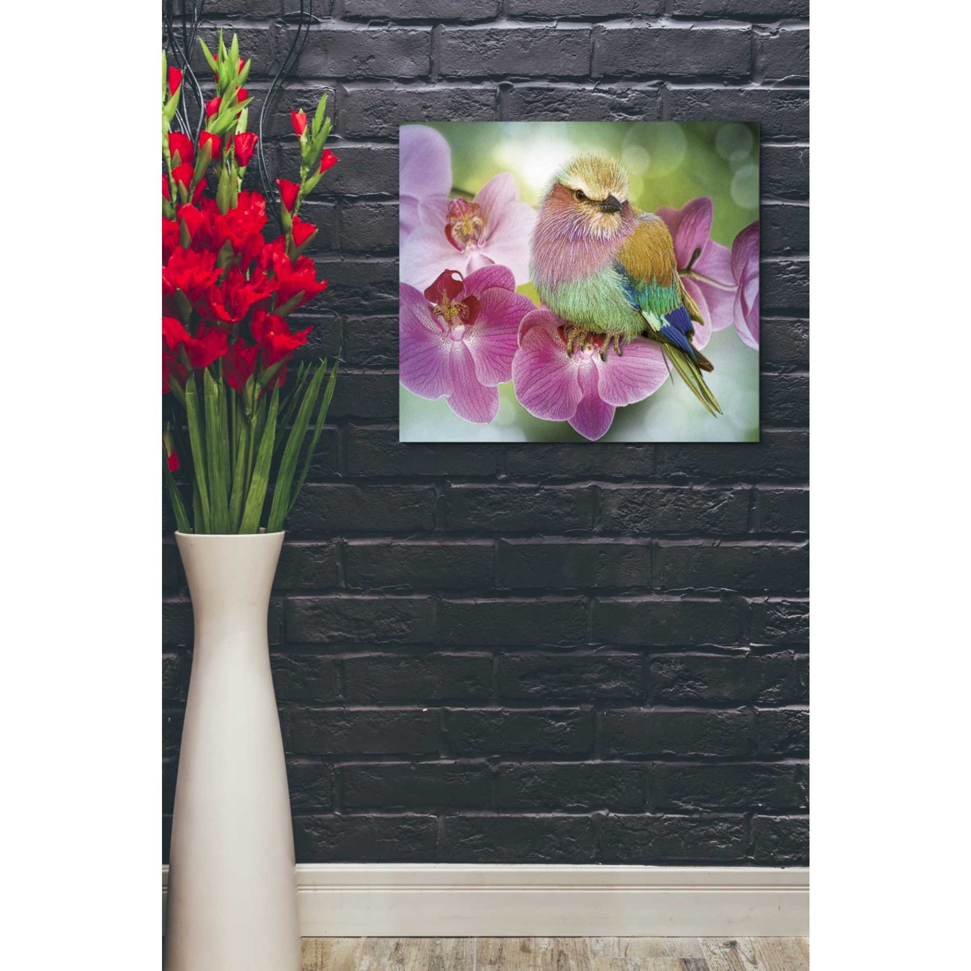 'Pretty Boy' by Steve Hunziker, Canvas Wall Art,24 x 20