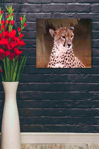 Image of 'Wildness Cheetah' by Karen Smith, Canvas Wall Art,24x20
