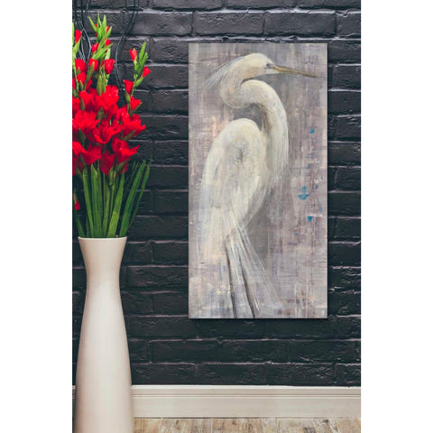 Image of 'Coastal Egret I Legs' by Albena Hristova, Canvas Wall Art,20 x 40