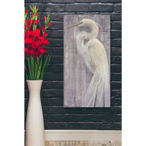 'Coastal Egret II Legs' by Albena Hristova, Canvas Wall Art,20 x 40