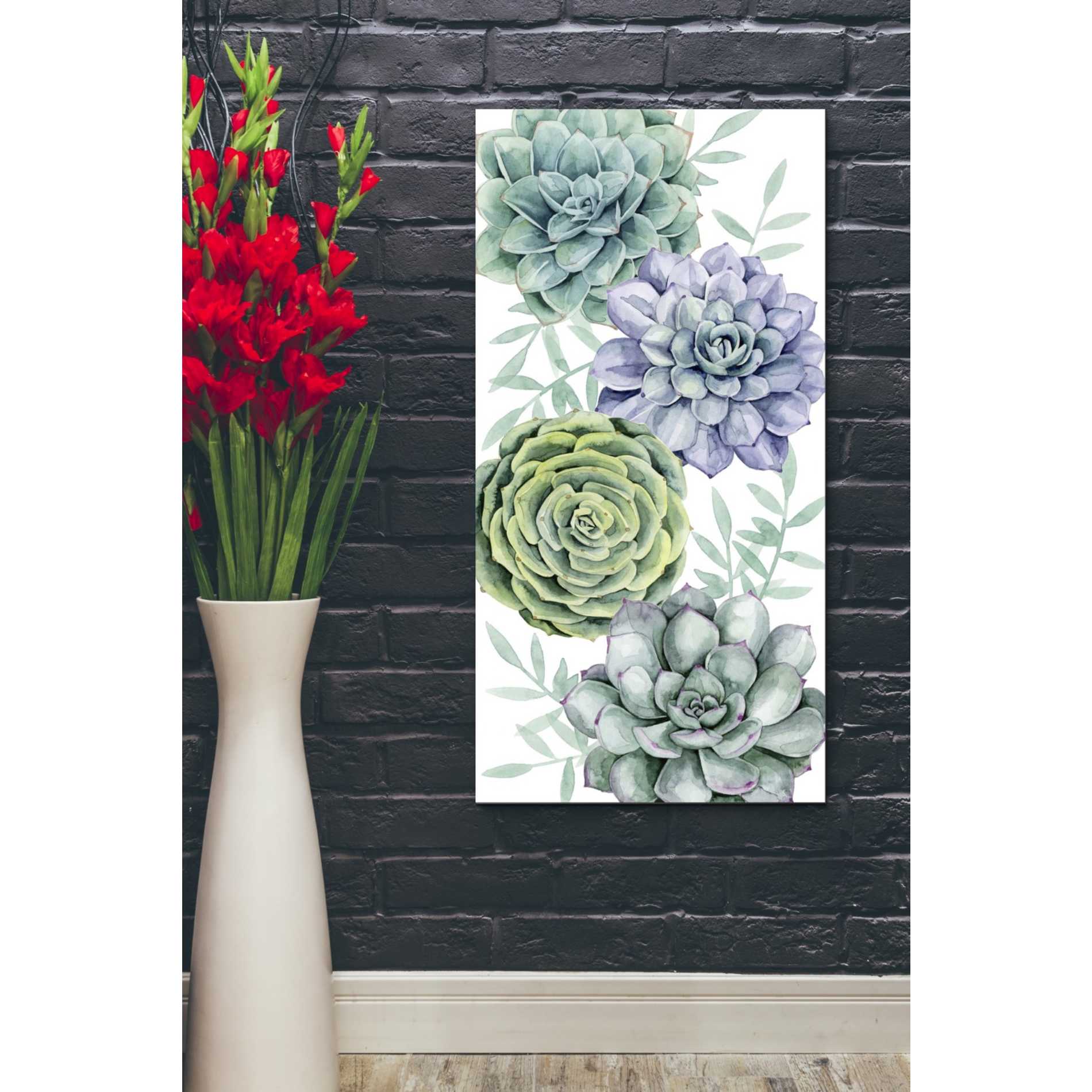 'Succulent Collection B' by Grace Popp Canvas Wall Art,20 x 40