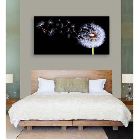 Image of 'Flying Dandelion' Canvas Wall Art,20 x 40