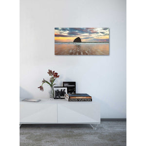 'Cotton Candy Sunrise' by Darren White, Canvas Wall Art,20 x 40