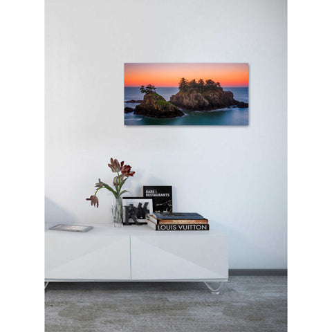 Image of 'Islands In The Sea' by Darren White, Canvas Wall Art,20 x 40