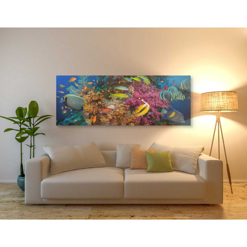 Image of 'Passage to Sea' Canvas Wall Art,20 x 60