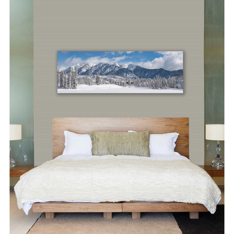 Image of 'Colorado Winter Wonderland' by Darren White, Canvas Wall Art,20 x 60