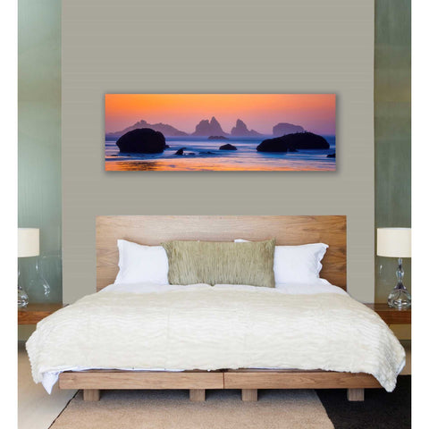 Image of 'Final Moments' by Darren White, Canvas Wall Art,20 x 60