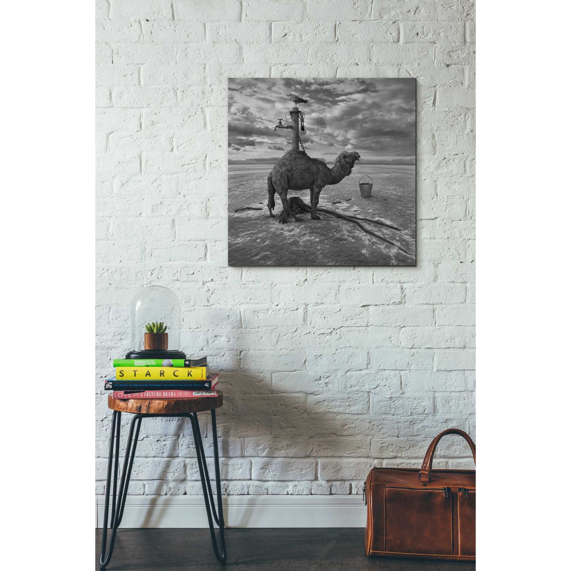 'Watering Place' by Dariusz Klimczak, Canvas Wall Art,26 x 26