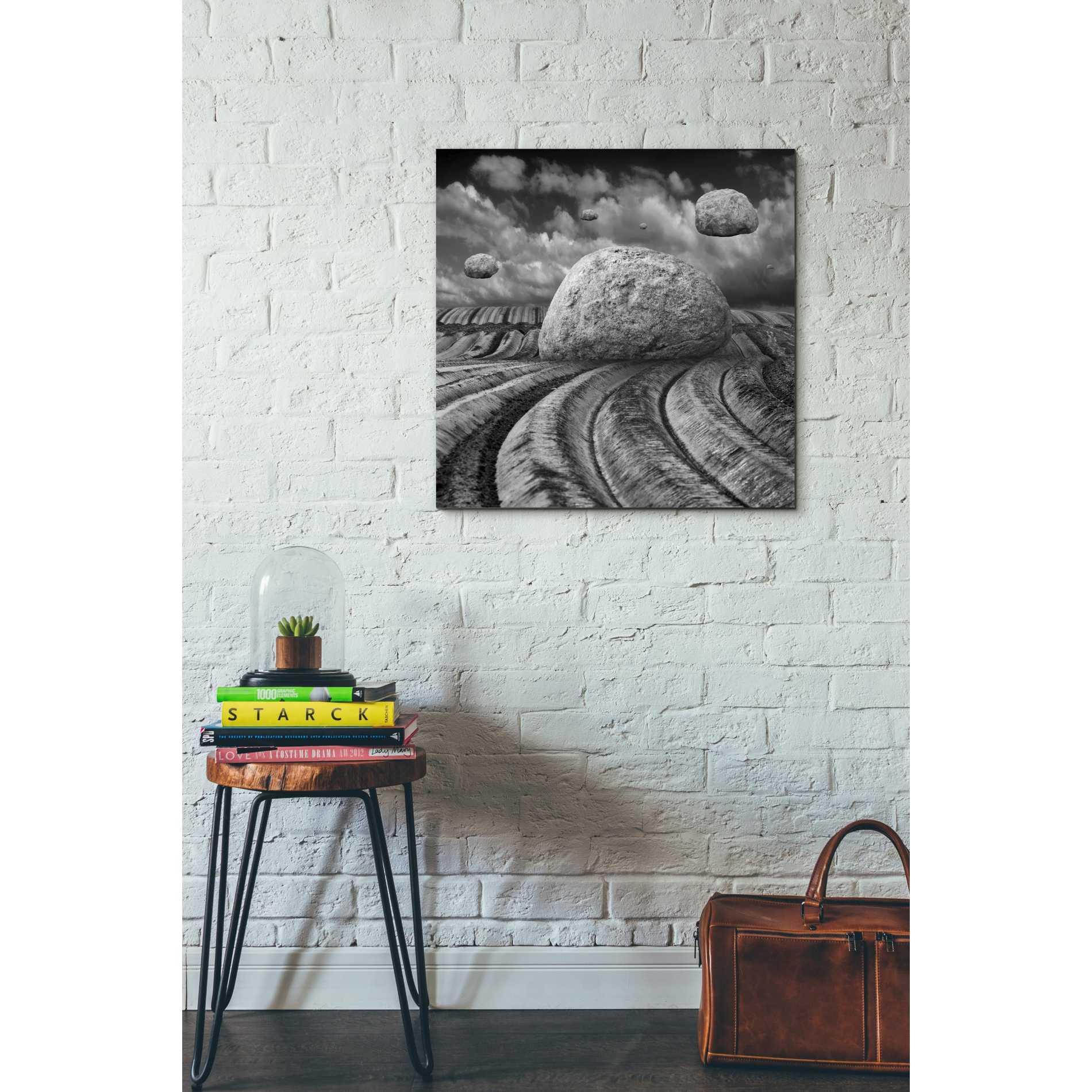 'Unharvested' by Dariusz Klimczak, Canvas Wall Art,26 x 26