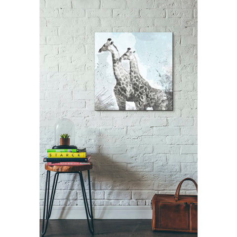 'Two Giraffes' by Linda Woods, Canvas Wall Art,26 x 26
