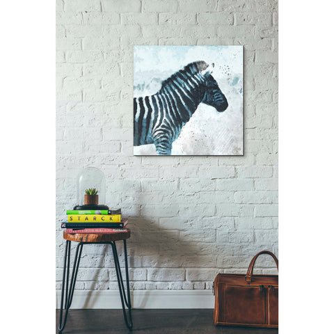 Image of 'Zebra' by Linda Woods, Canvas Wall Art,26 x 26