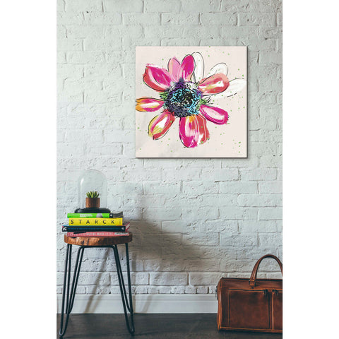 Image of 'Colorful Daisy' by Linda Woods, Canvas Wall Art,26 x 26