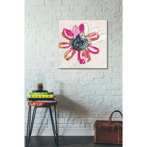'Colorful Daisy' by Linda Woods, Canvas Wall Art,26 x 26