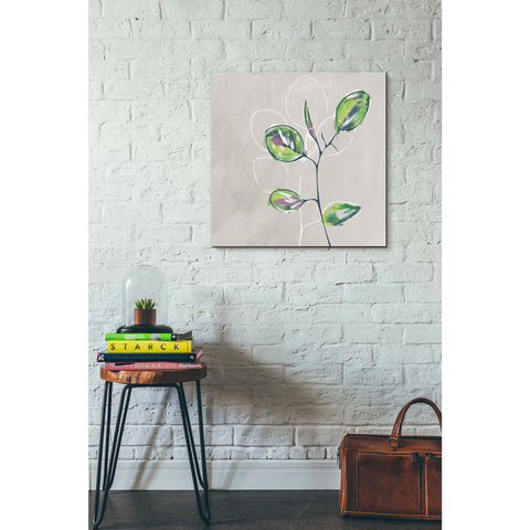Image of 'Eucalyptus on Sand' by Linda Woods, Canvas Wall Art,26 x 26