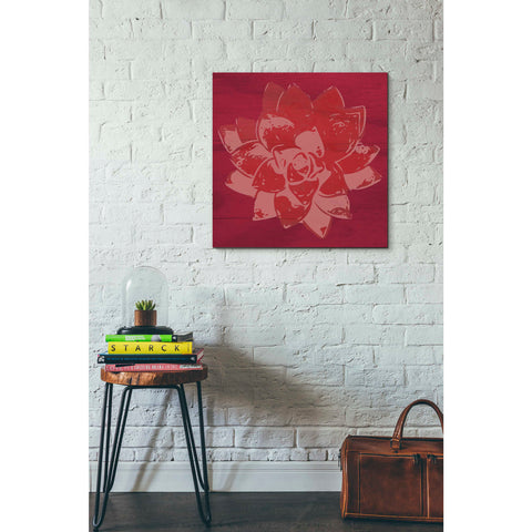 Image of 'Boho Succulent Red' by Linda Woods, Canvas Wall Art,26 x 26