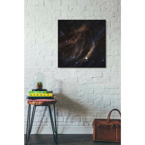 Image of 'Within Canis Majoris' Hubble Space Telescope Canvas Wall Art,26 x 26
