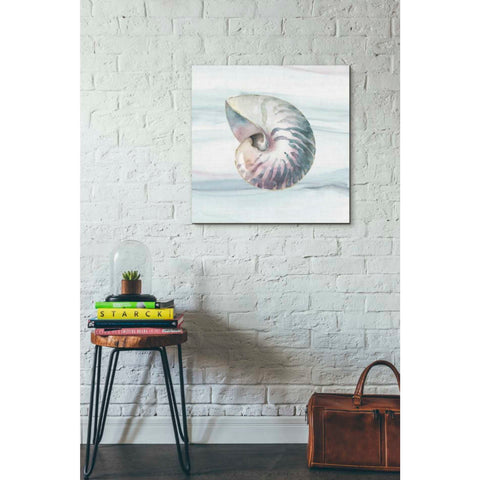 Image of 'Ocean Dream V' by Lisa Audit, Canvas Wall Art,,26 x 26