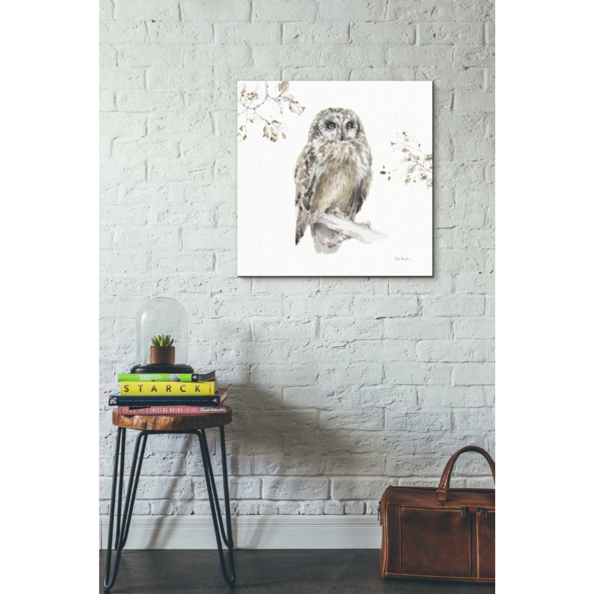 'Woodland Walk VIII' by Lisa Audit, Canvas Wall Art,,26 x 26