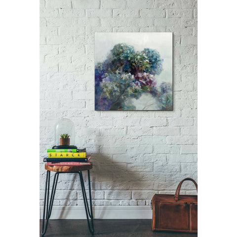 Image of 'Abstract Hydrangea' by Danhui Nai, Canvas Wall Art,26 x 26