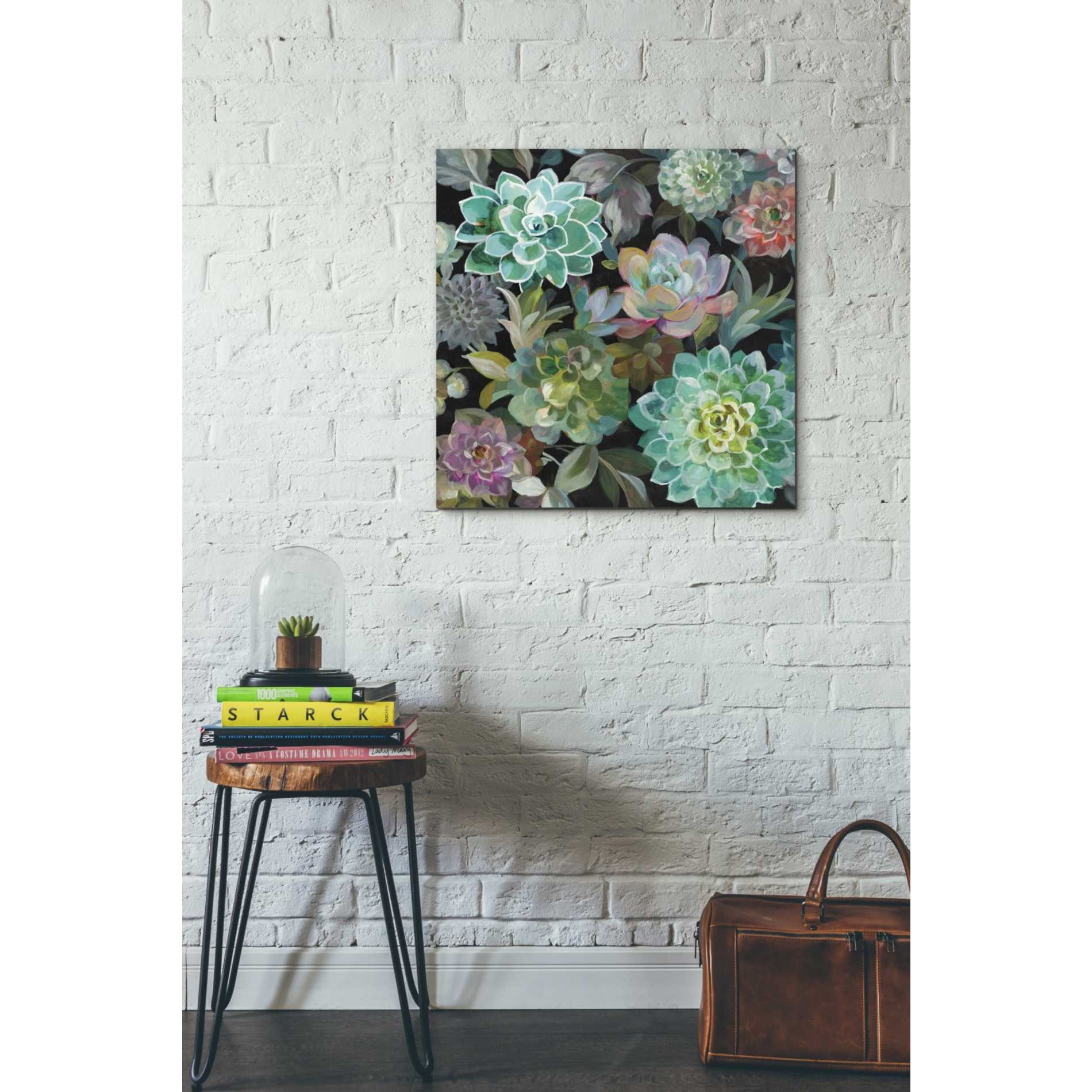 'Floral Succulents v2 Crop' by Danhui Nai, Canvas Wall Art,26 x 26