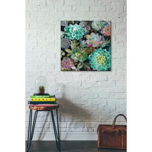 'Floral Succulents v2 Crop' by Danhui Nai, Canvas Wall Art,26 x 26