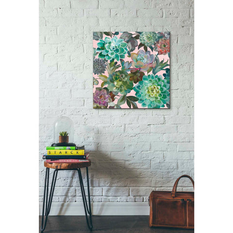 Image of 'Floral Succulents v2 Crop on Pink' by Danhui Nai, Canvas Wall Art,26 x 26