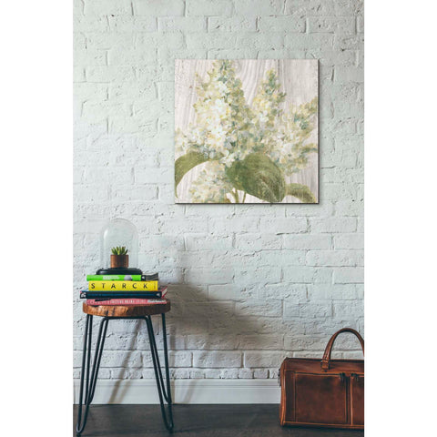 Image of 'Scented Cottage Florals II Crop' by Danhui Nai, Canvas Wall Art,26 x 26