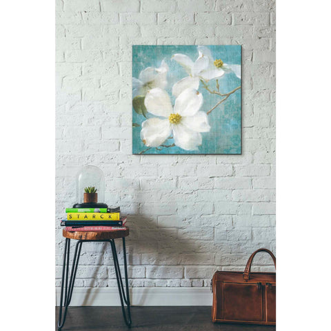 Image of 'Indiness Blossom Square Vintage I' by Danhui Nai, Canvas Wall Art,26 x 26