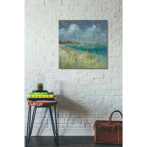 Image of 'Sky and Sea Crop' by Danhui Nai, Canvas Wall Art,26 x 26
