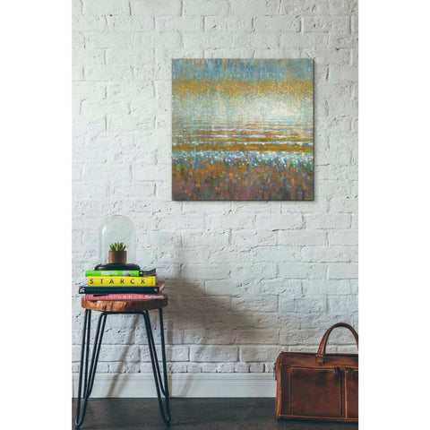 Image of 'Rains Over the Lake Light' by Danhui Nai, Canvas Wall Art,26 x 26