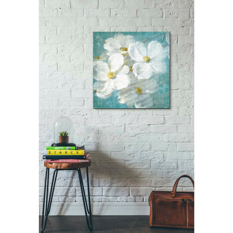 Image of 'Indiness Blossom Square Vintage II' by Danhui Nai, Canvas Wall Art,26 x 26