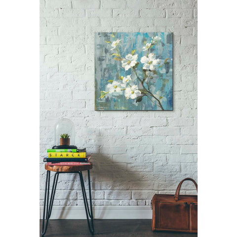 Image of 'Graceful Magnolia II' by Danhui Nai, Canvas Wall Art,26 x 26
