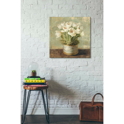 Image of 'Hatbox Tulips' by Danhui Nai, Canvas Wall Art,26 x 26
