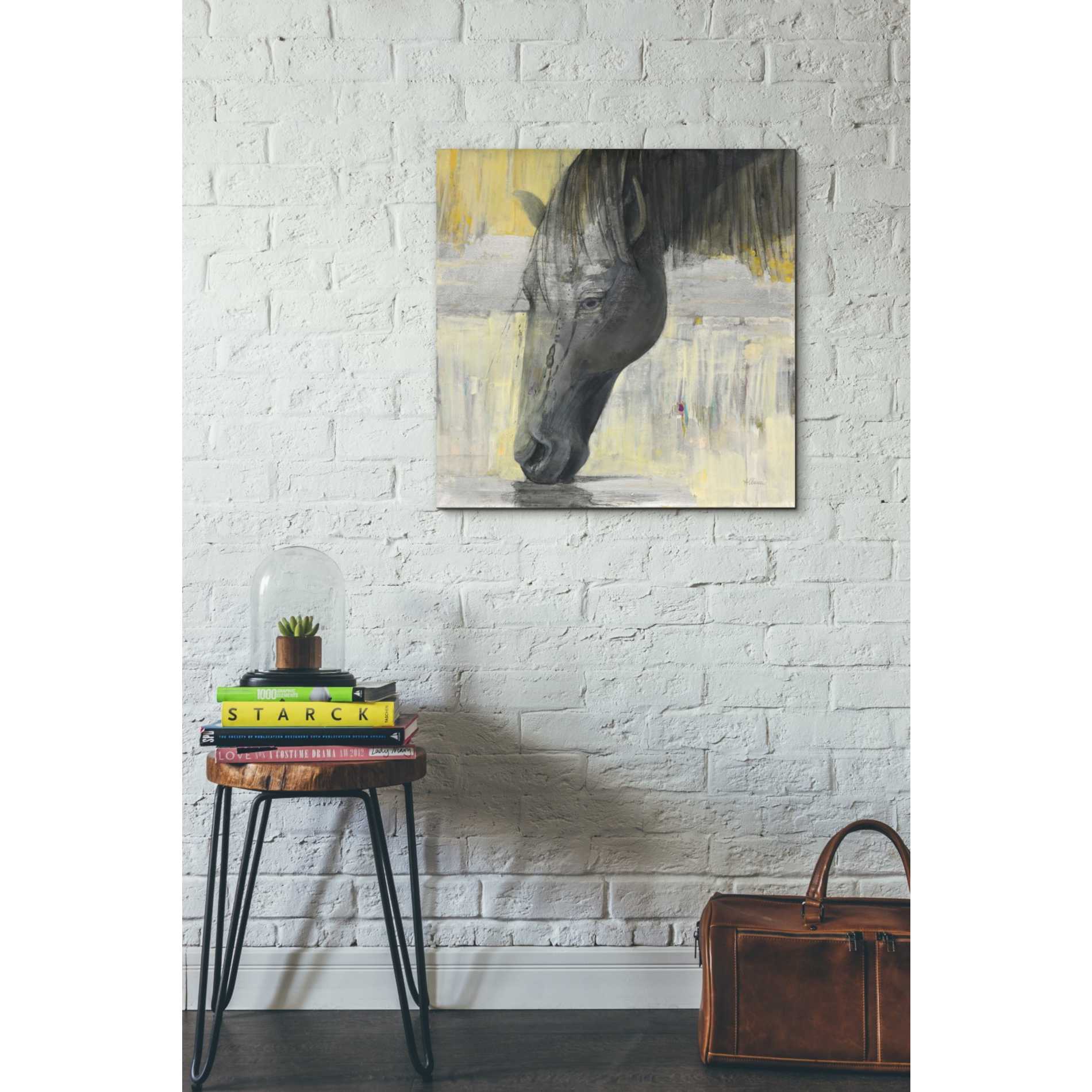 'Caleb' by Albena Hristova, Canvas Wall Art,26 x 26