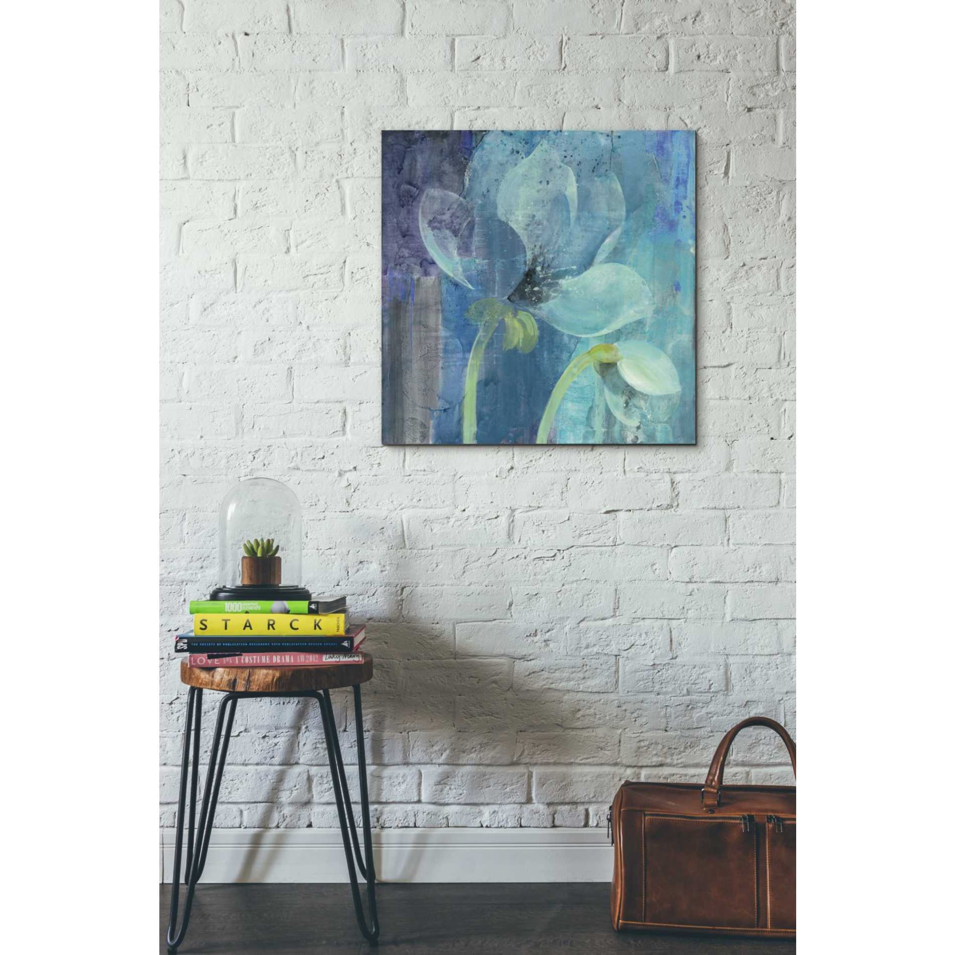 'Moonlight Garden' by Albena Hristova, Canvas Wall Art,26 x 26