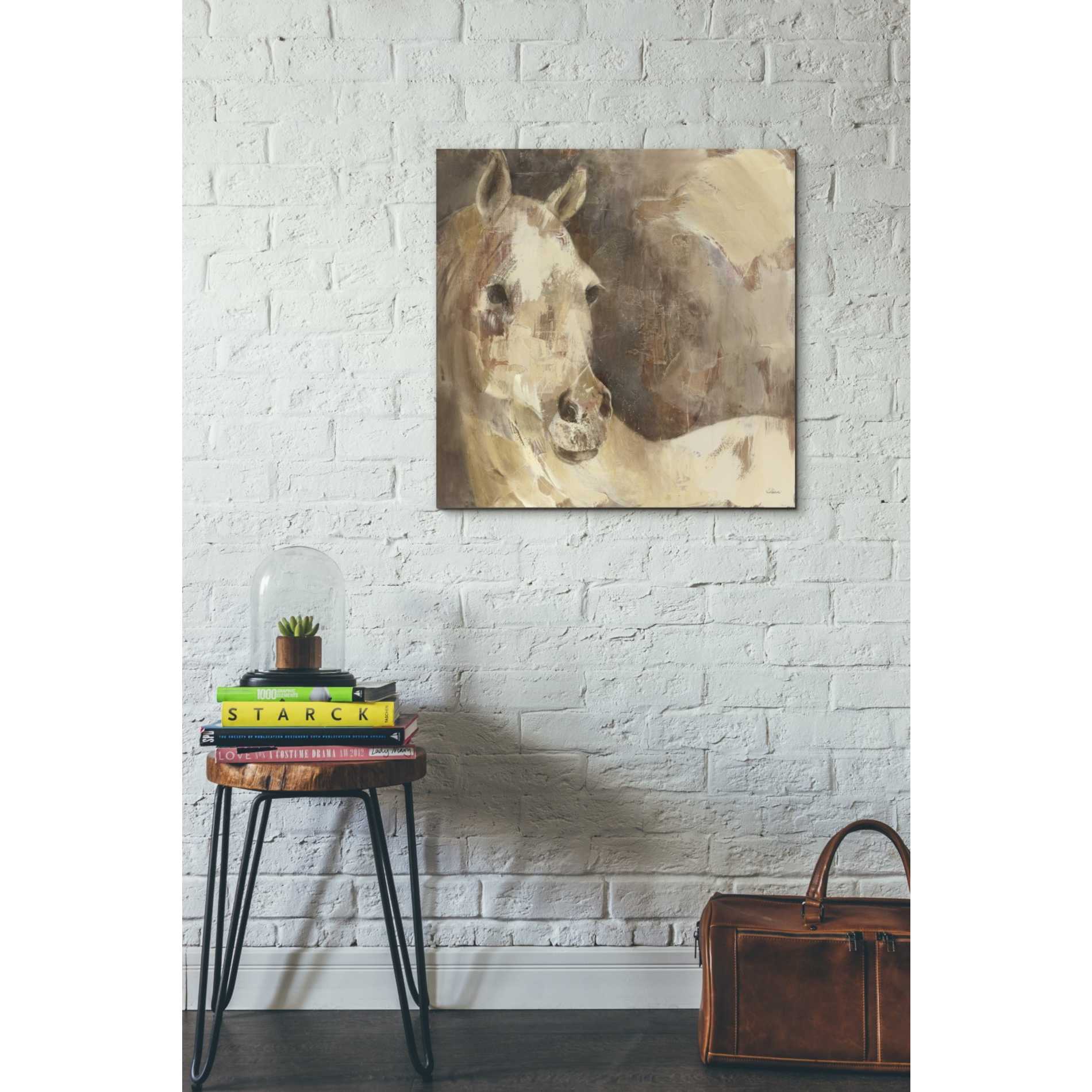 'Jasmine' by Albena Hristova, Canvas Wall Art,26 x 26