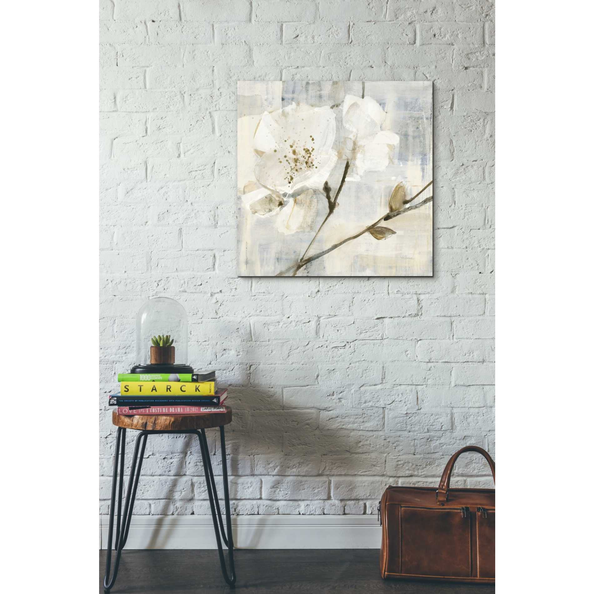 'Elegance I Greige' by Albena Hristova, Canvas Wall Art,26 x 26