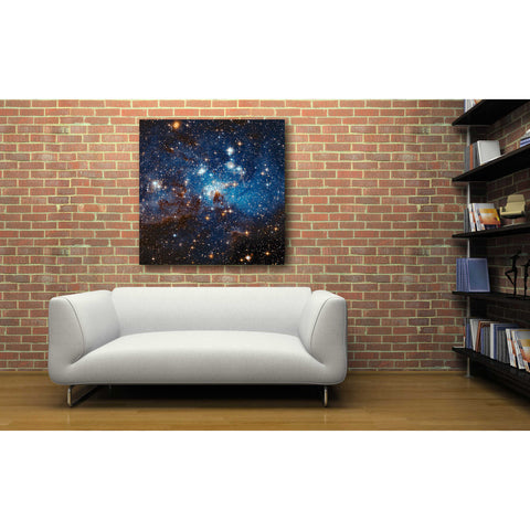 Image of 'LH 95 Star Cluster' Hubble Space Telescope Canvas Wall Art,26 x 26