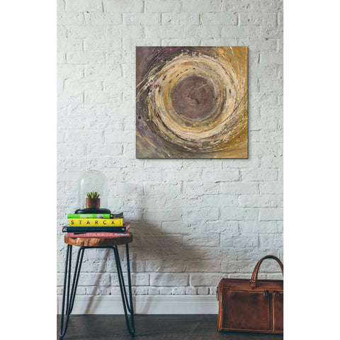 Image of 'Wooden Rings' by Albena Hristova, Canvas Wall Art,26 x 26