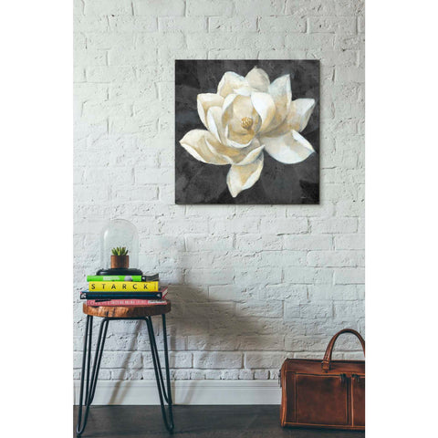 Image of 'Majestic Magnolia Neutral Sq' by Albena Hristova, Canvas Wall Art,26 x 26