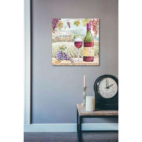 Image of 'Wine Country IV' by Daphne Brissonet, Canvas Wall Art,26 x 26