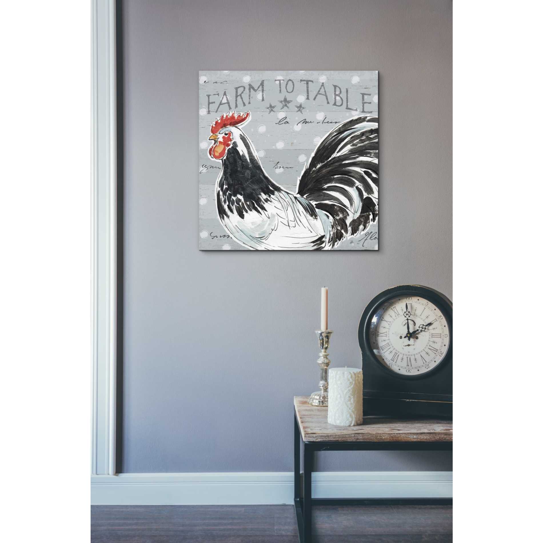 'Roosters Call III' by Daphne Brissonet, Canvas Wall Art,26 x 26