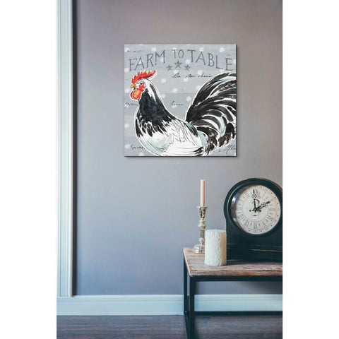Image of 'Roosters Call III' by Daphne Brissonet, Canvas Wall Art,26 x 26